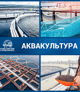 Аквакульутра стала неотъемлемой частью Global Fishery Forum & Seafood Expo Russia